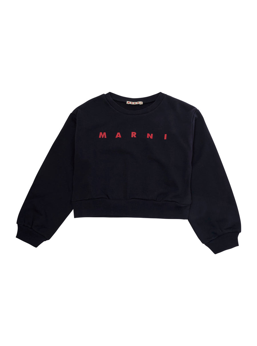 Crewneck Sweatshirt Blue Cotton Hoods & Sweatshirts