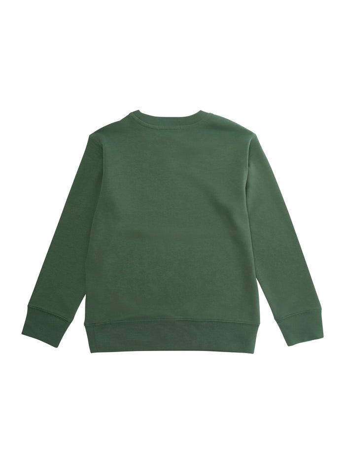 Green Sweatshirt With Pony On The Front And Long Sleeves Cotton Boy Sweatshirts