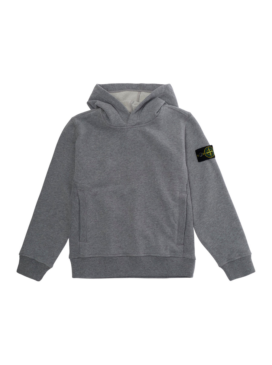Hoodie Boys Grey Hoods & Sweatshirts