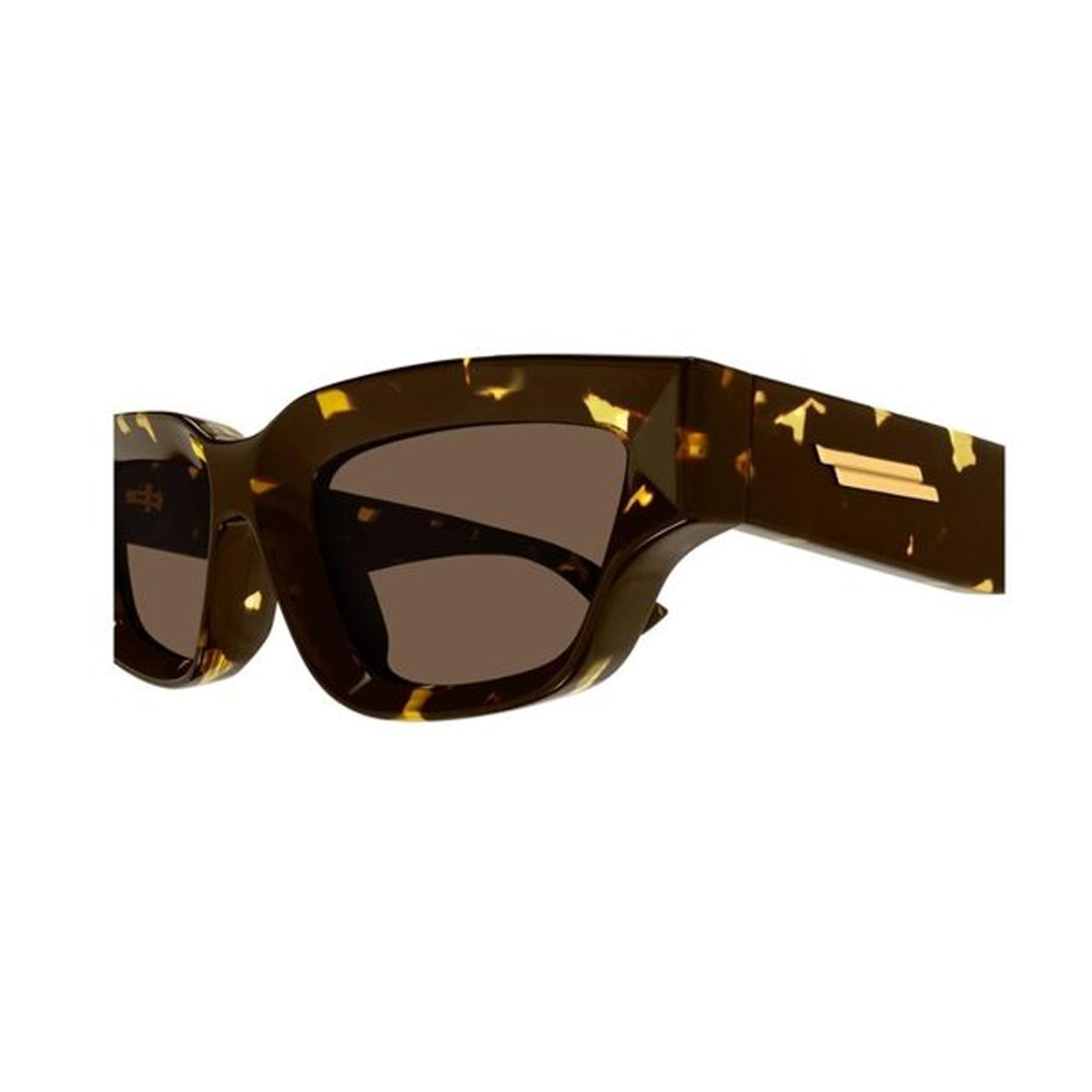 BV1250S 002 Marrone Injected Occhiali Sole