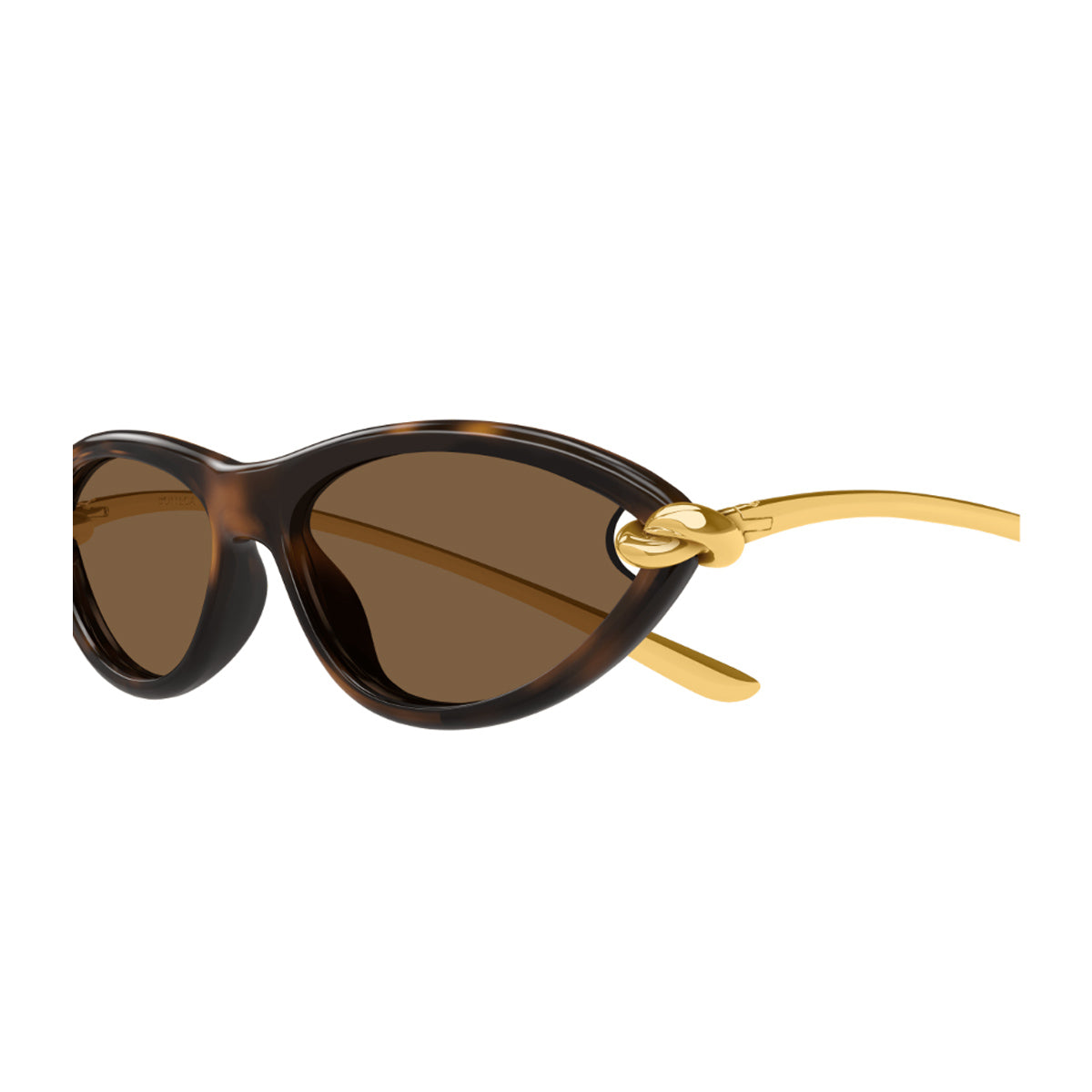 Bottega Veneta BV1390S Signature Icons 002 Havana Gold Brown Injected/metal Occhiali Da Sole