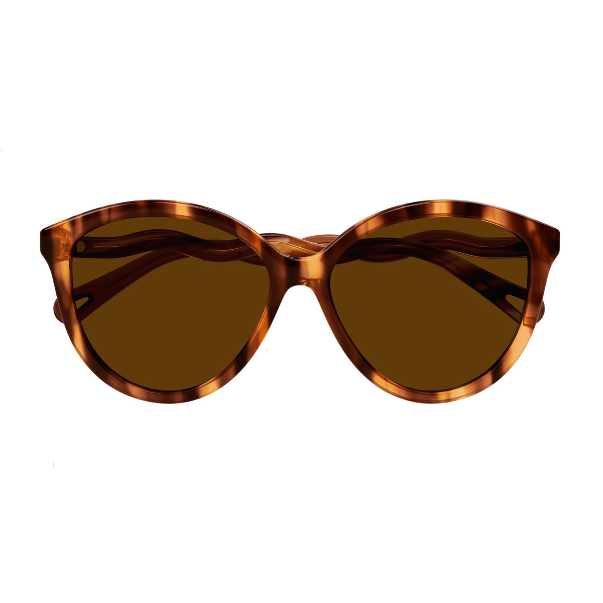 CH0087S Marrone Celluloid Occhiali Sole