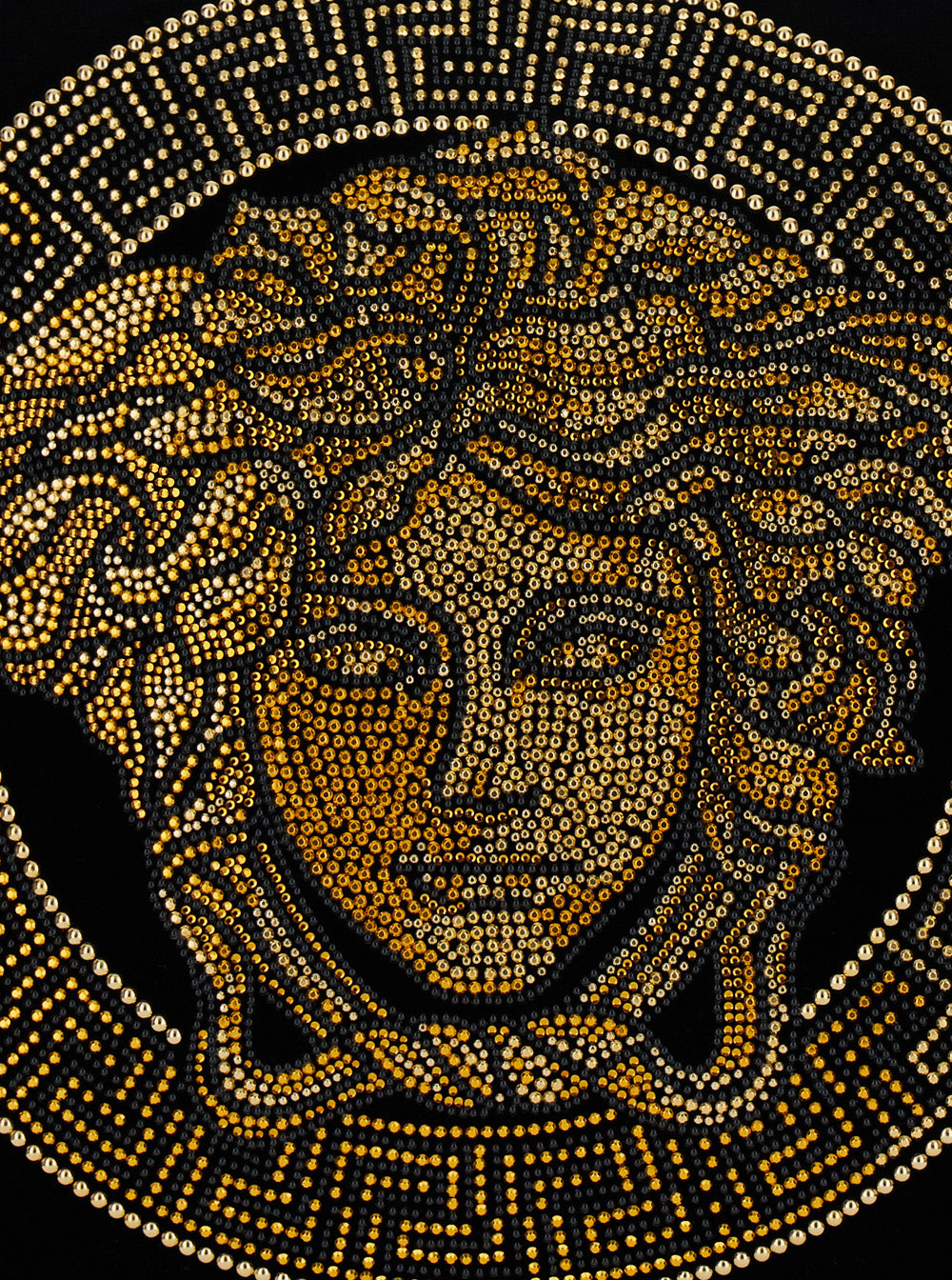 Icon Black Cushion With Medusa And Rhinestone Cotton Cushions