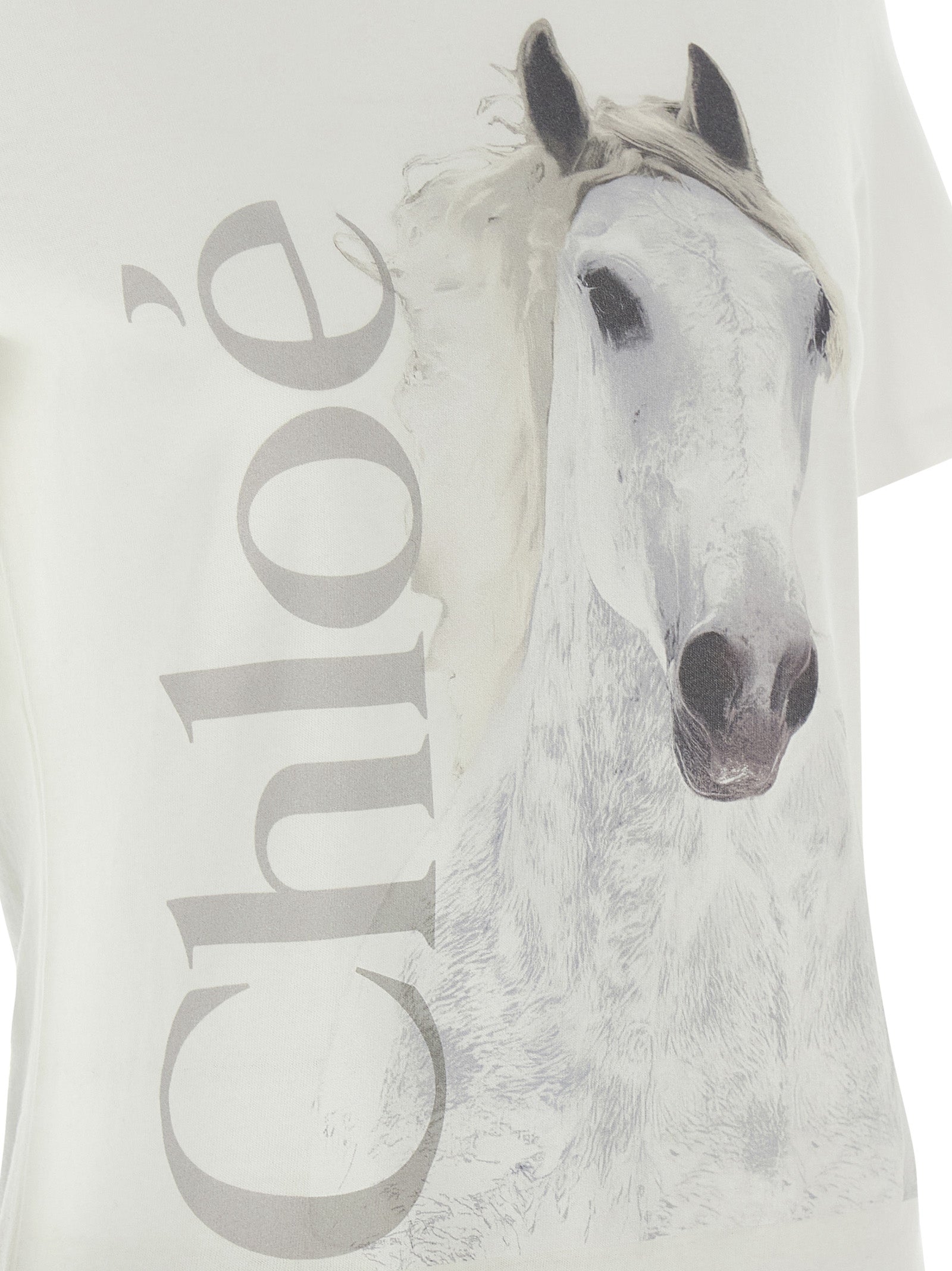 Printed T-shirt White Cotton
