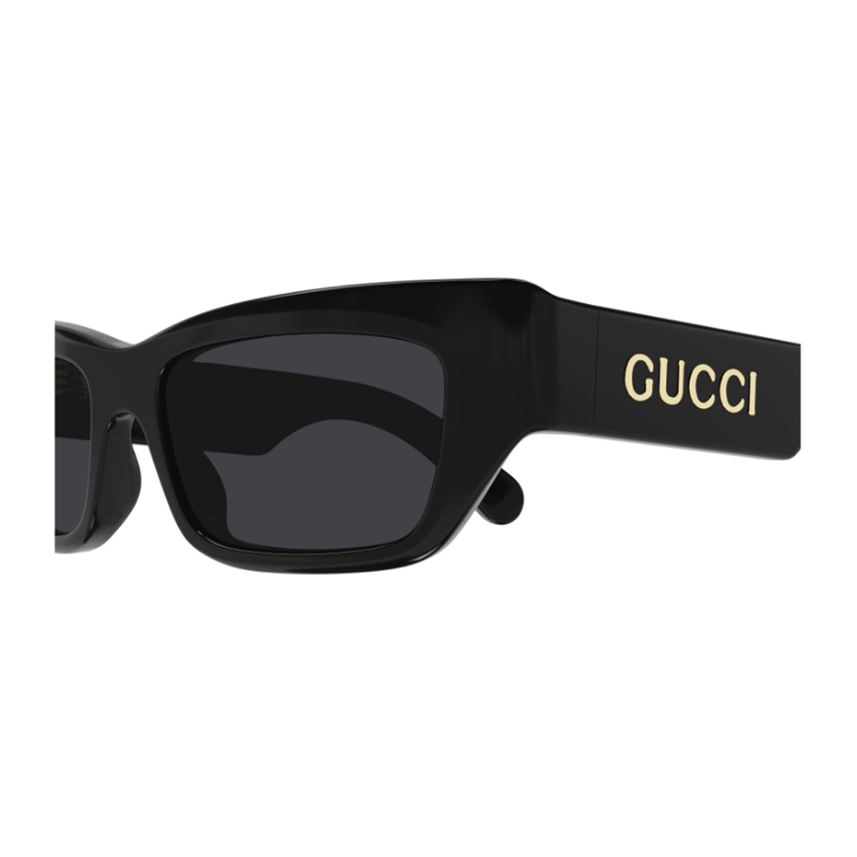 GG1296S Nero Celluloid Occhiali Sole