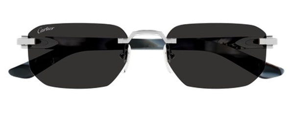 Cartier - Ct0622s Smooth Platinum Finish Métal Sunglasses