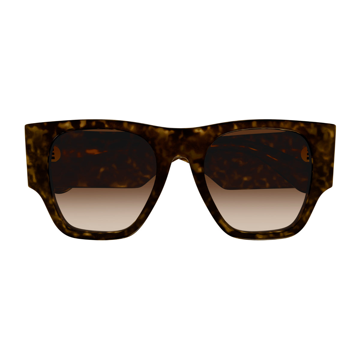 Chloé CH0233S Linea 002 Havana Brown Marrone Acetate Occhiali Da Sole