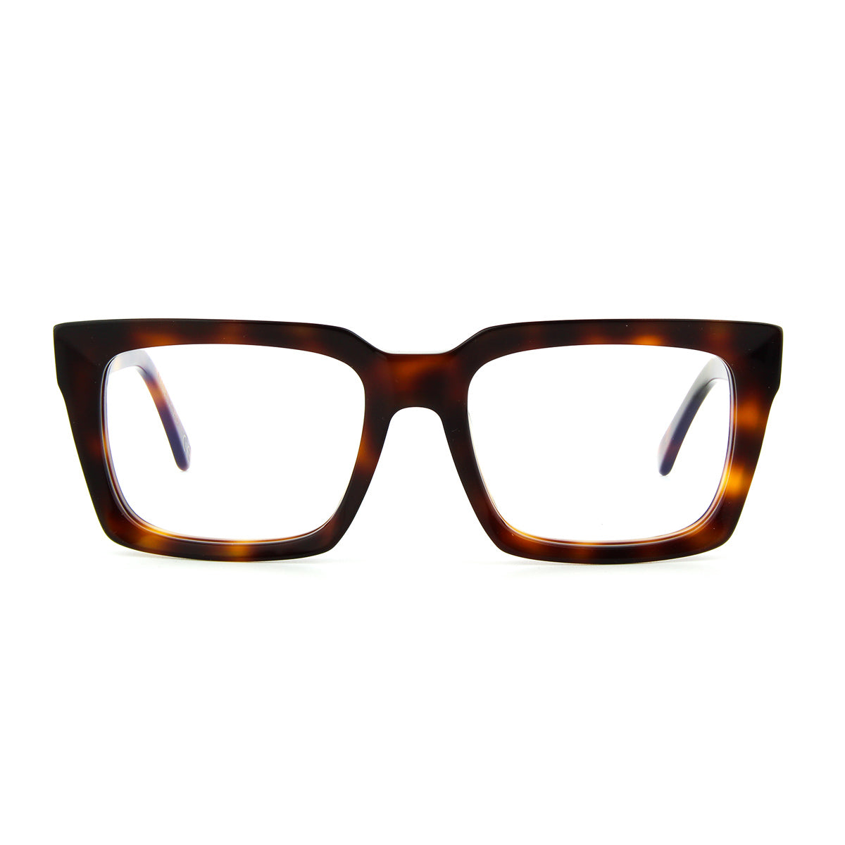 Bel Tenebroso ts3 Havana Marrone Acetate Occhiali Da Vista