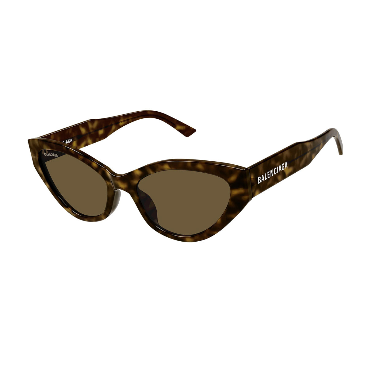 BB0306S 002 Marrone Acetate Occhiali Sole