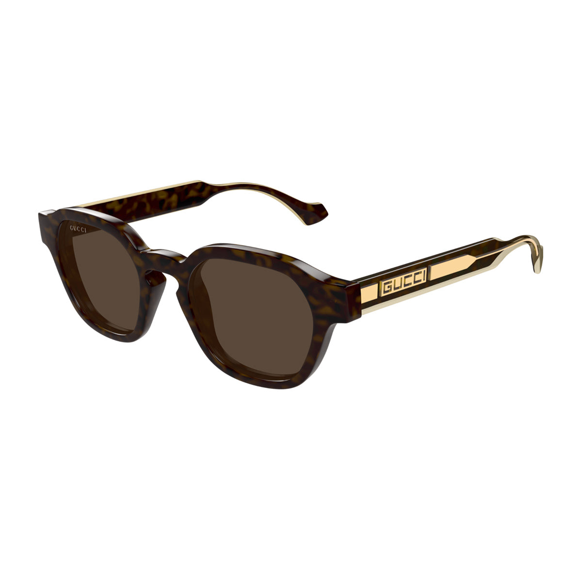 GG1730S Linea Lettering 002 Havana Yellow Brown Marrone Injected Occhiali Da Sole