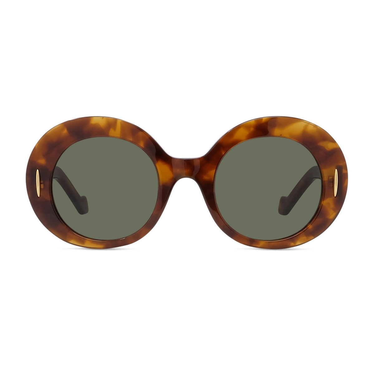 LW40146I 53N Havana Marrone Occhiali Da Sole
