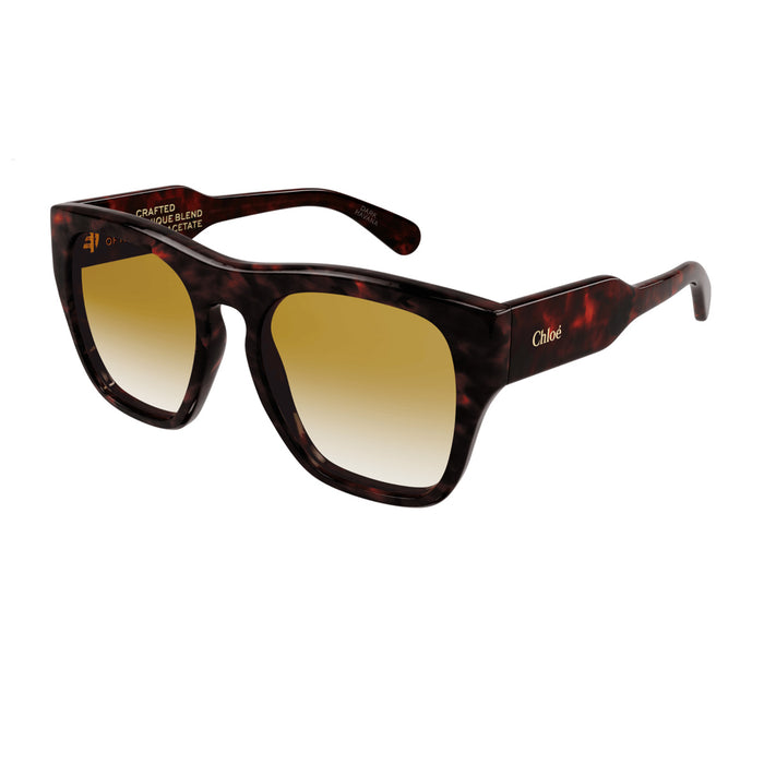 CH0149S Marrone Celluloid Occhiali Sole