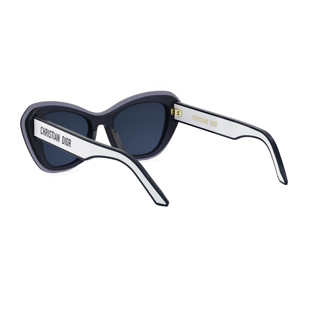 DiorPacific B3U 30b0 Blu Acetate Occhiali Da Sole