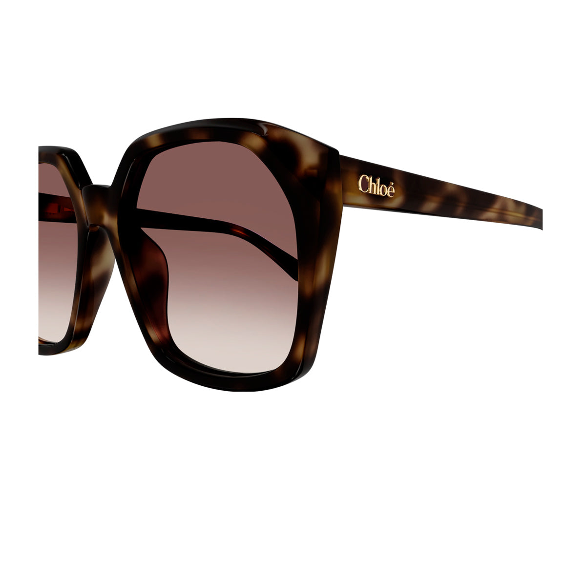 Chloé CH0280S Linea 006 Havana Red Marrone Acetate Occhiali Da Sole