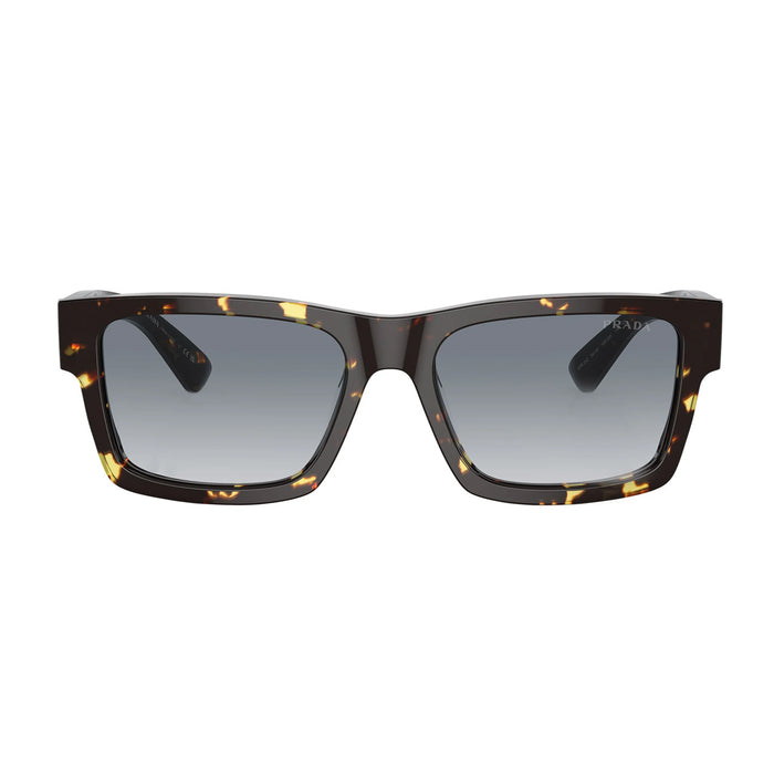 PR25ZS 16R30F Tartarugato Nero Acetate Occhiali Sole