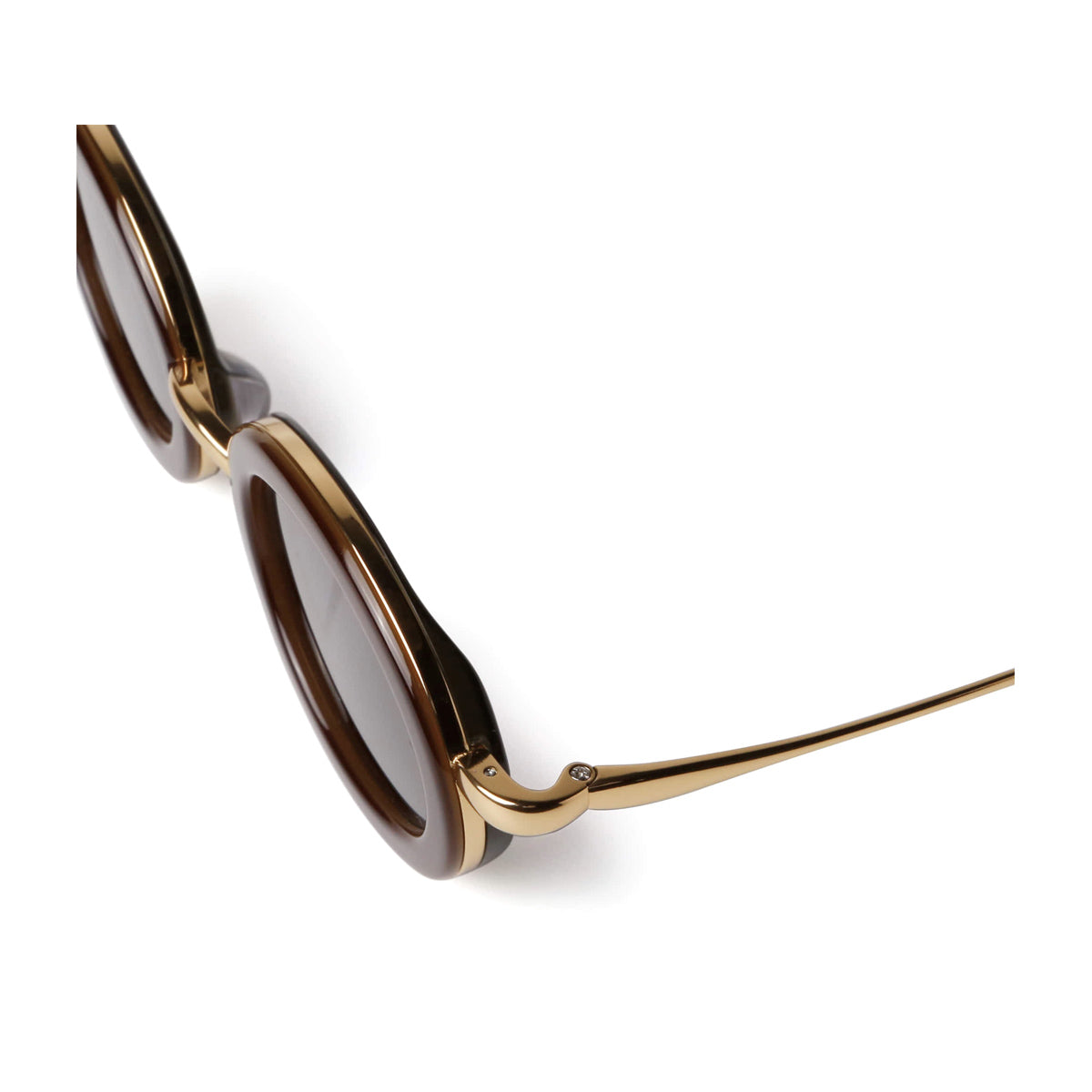 Projekt Produkt P12 HMCC5 C2G Brown Gold Marrone Acetate/metal Occhiali Da Sole
