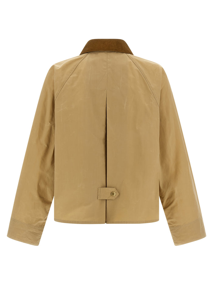 Catlin jacket Beige Cotton Down Jacket, Parka, Casual