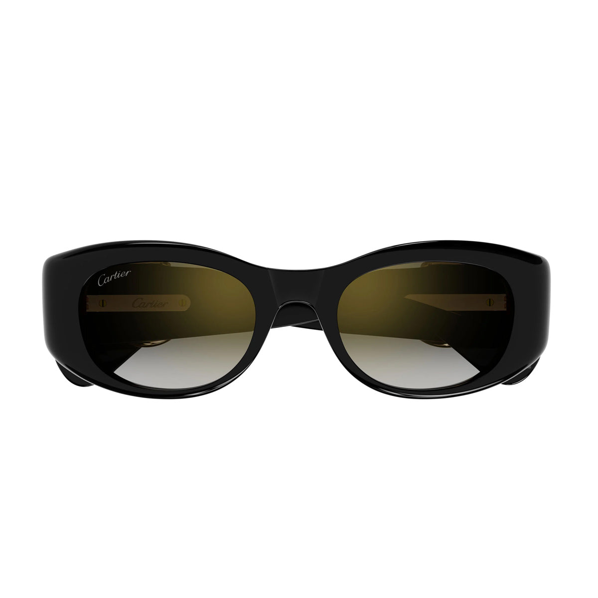 CT0472S PANTHÈRE DE CARTIER 001 Nero Recycled Acetate Occhiali Sole