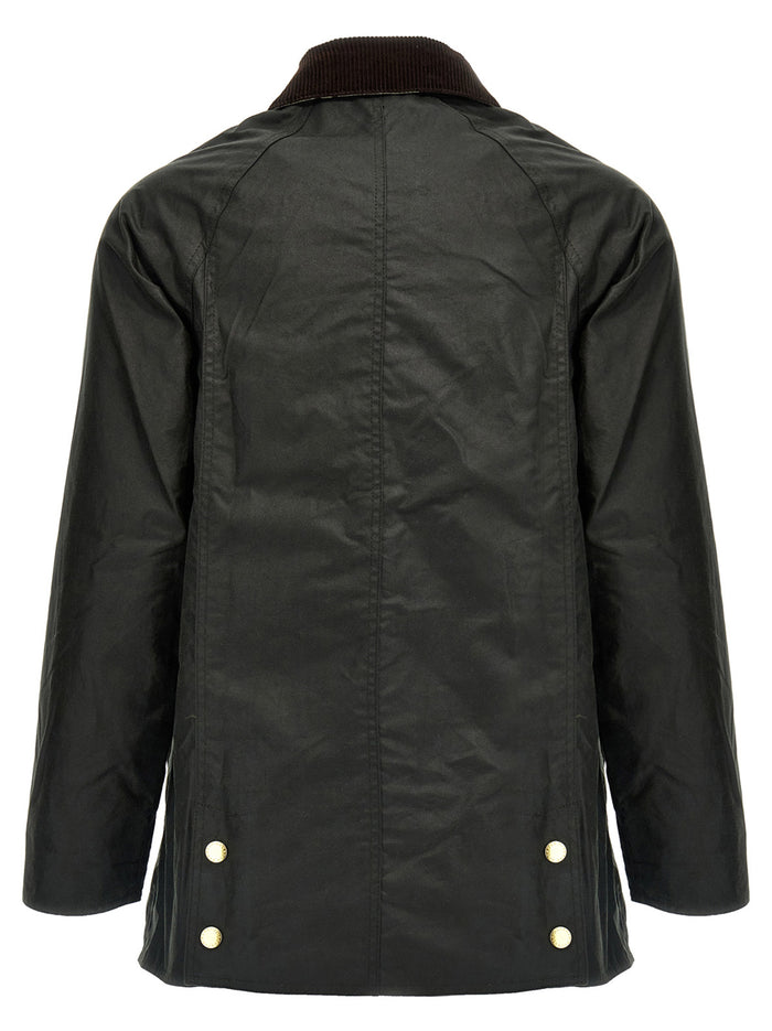 Modern Beadnell Jacket Green Cotton Down Jacket, Parka, Casual