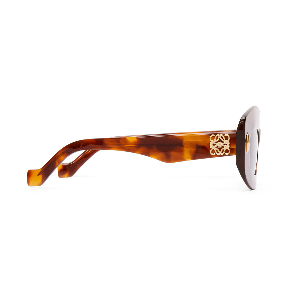 LW40114I 53a Marrone Acetate Occhiali Sole