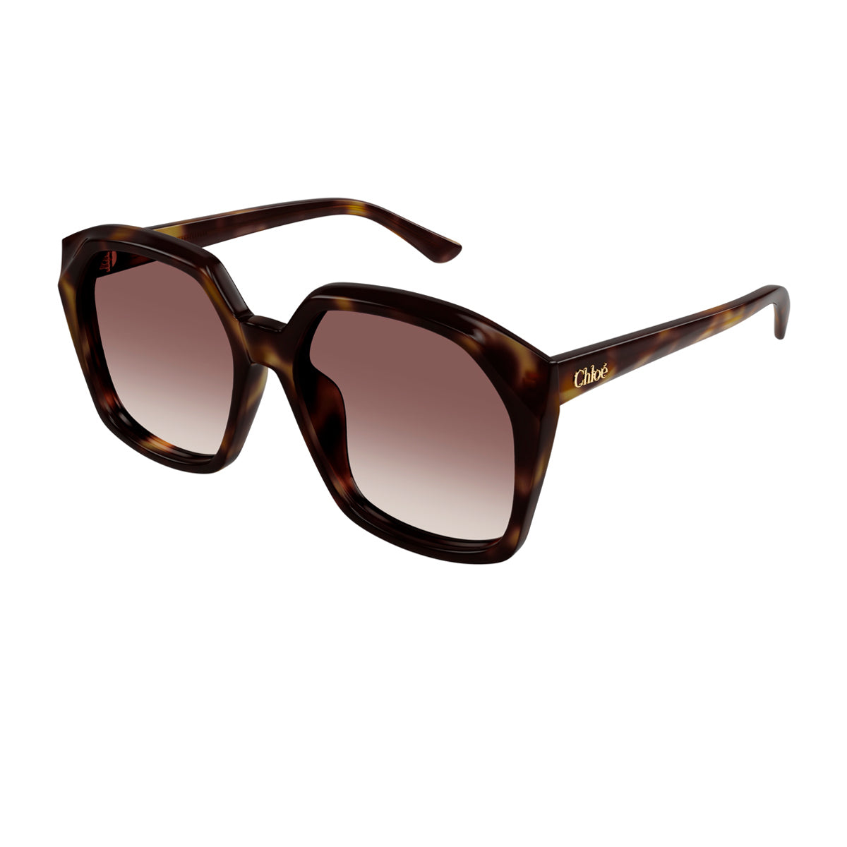 Chloé CH0280S Linea 006 Havana Red Marrone Acetate Occhiali Da Sole