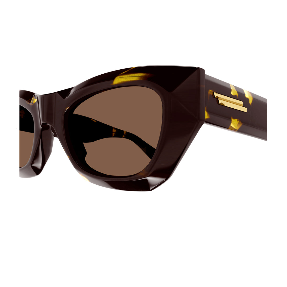 BV1251S 002 Marrone Acetate Occhiali Sole