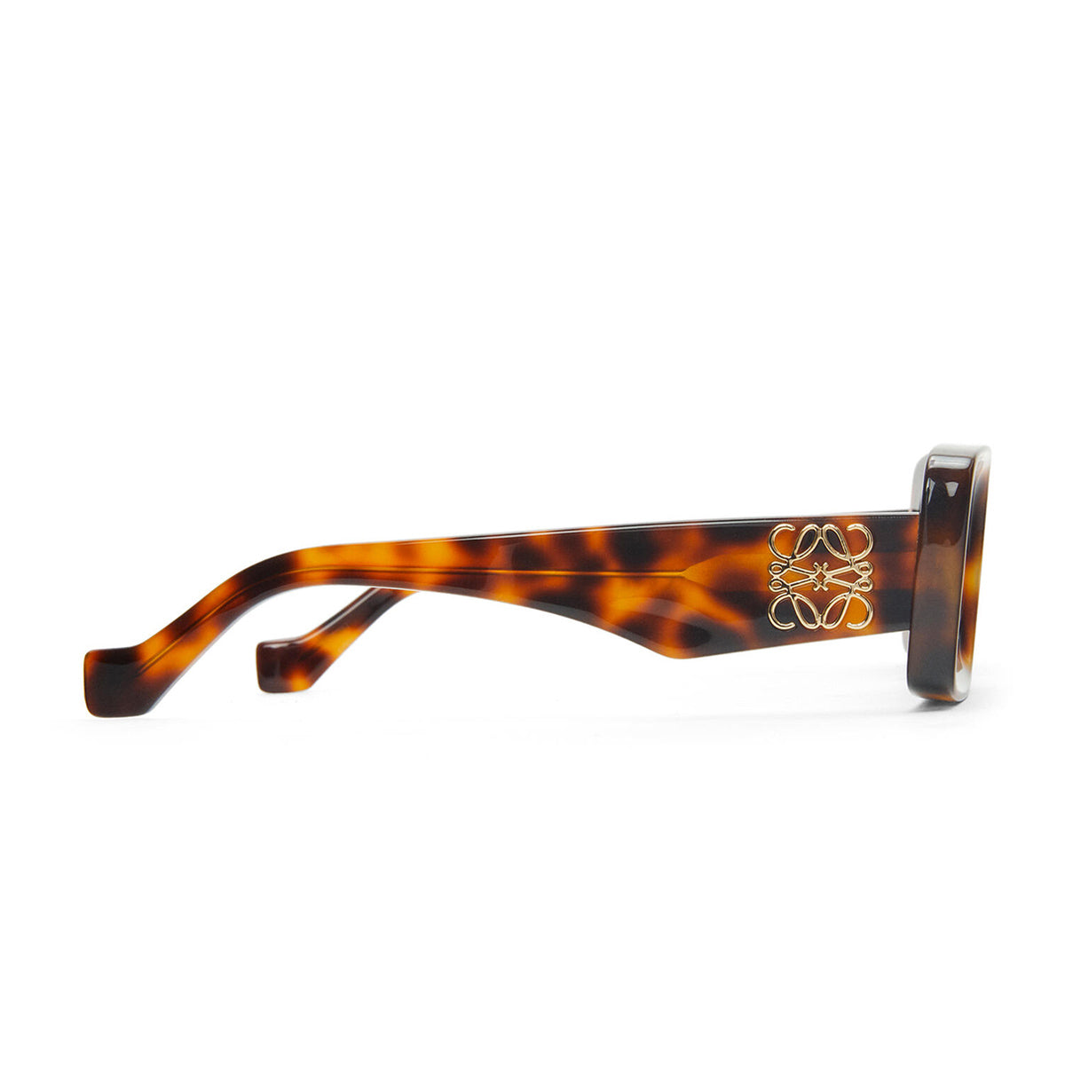 LW40101I 52e Marrone Acetate Occhiali Sole