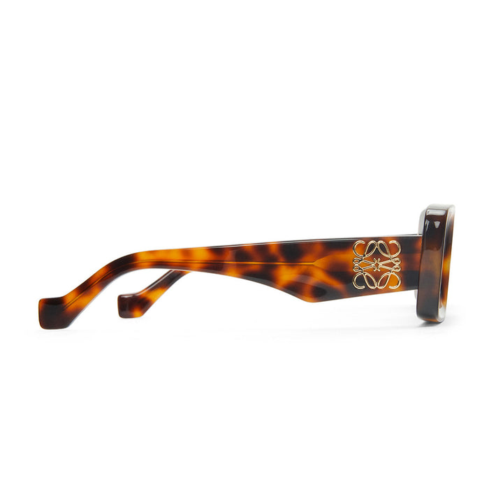 LW40101I 52e Marrone Acetate Occhiali Sole