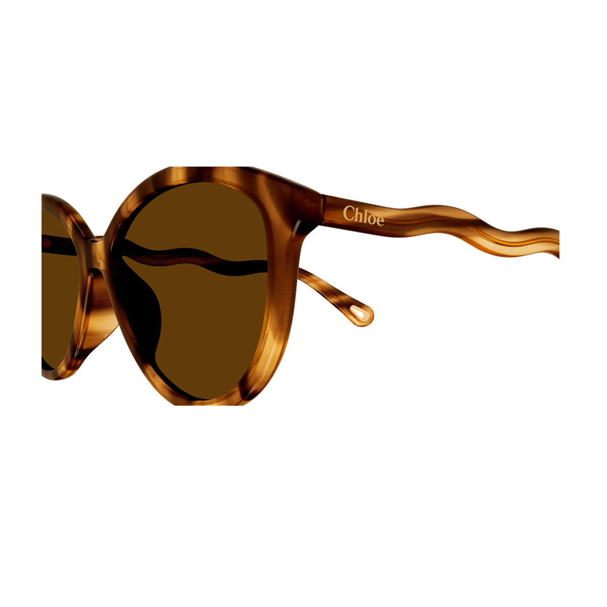 CH0087S Marrone Celluloid Occhiali Sole