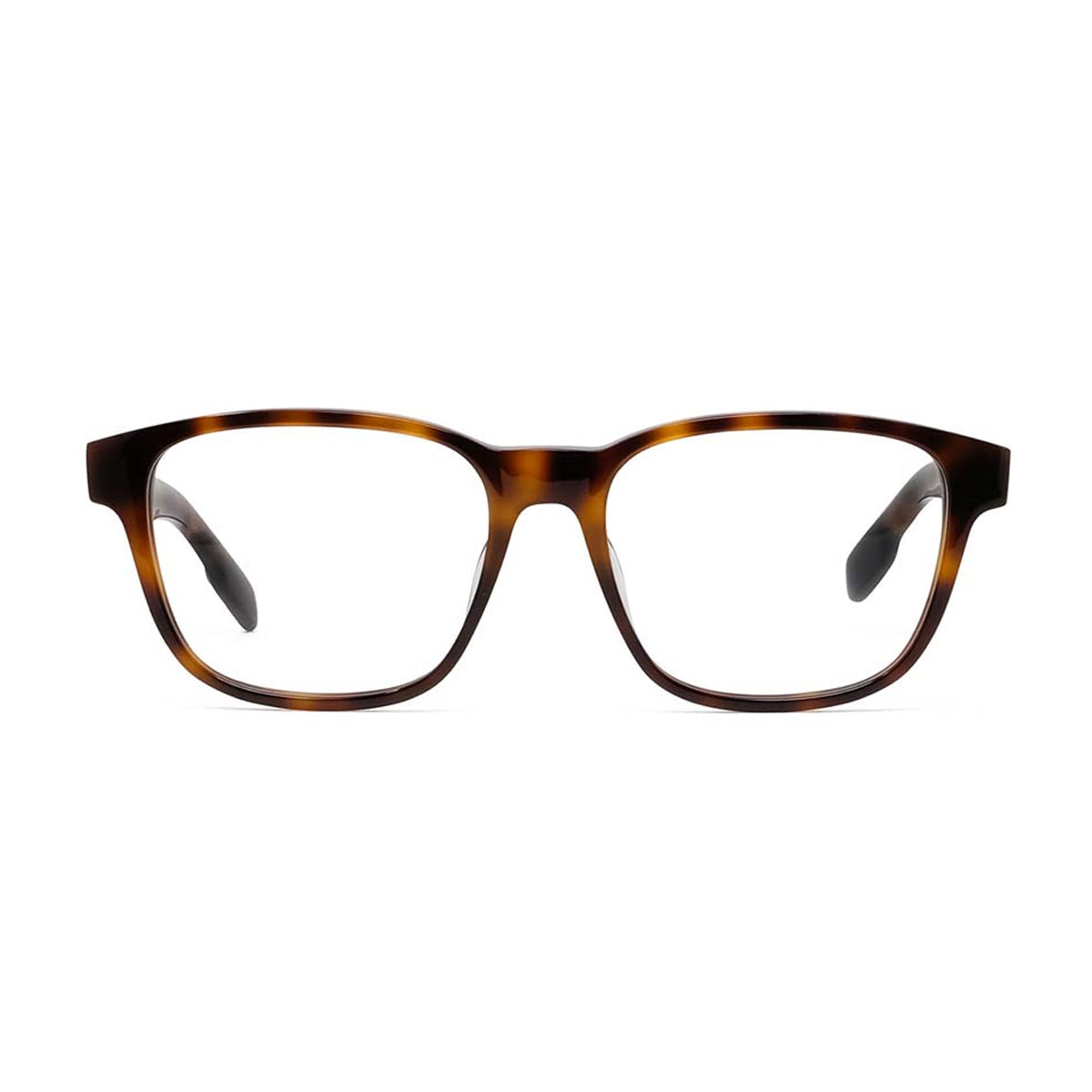 KZ50026I 053 Havana Marrone Acetate Occhiali Da Vista
