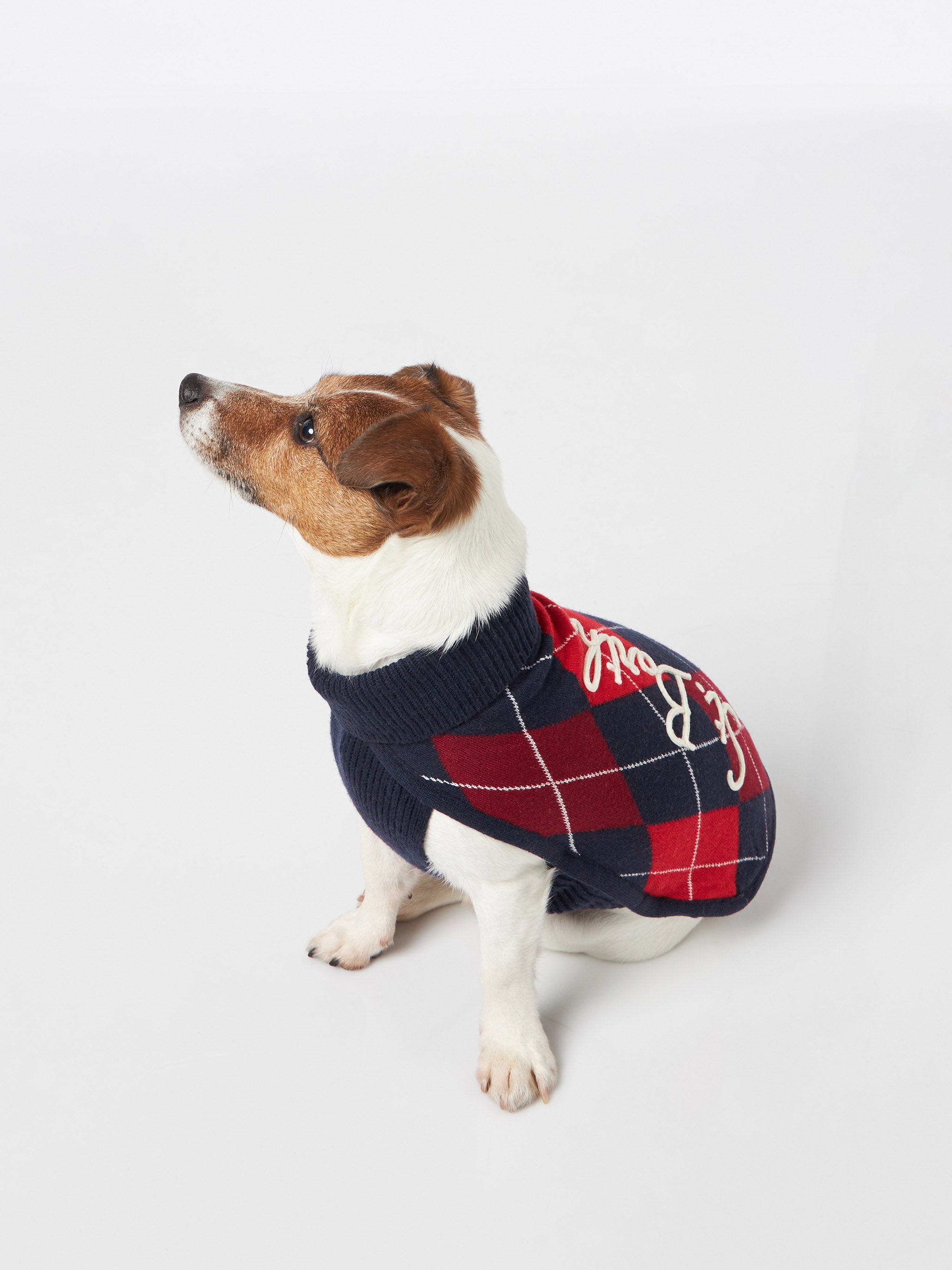 Dog Sweater With Argyle Print Blue