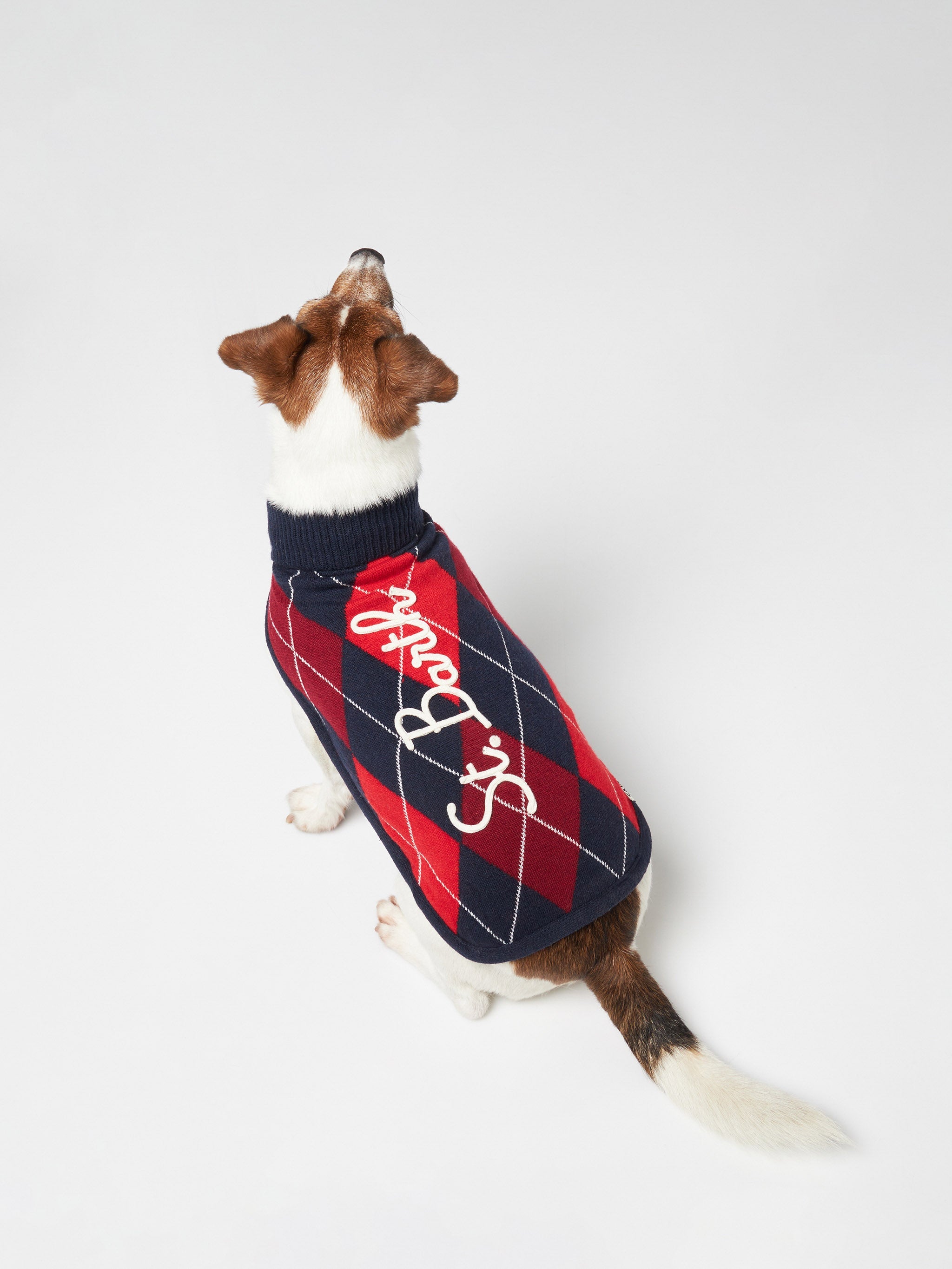 Dog Sweater With Argyle Print Blue