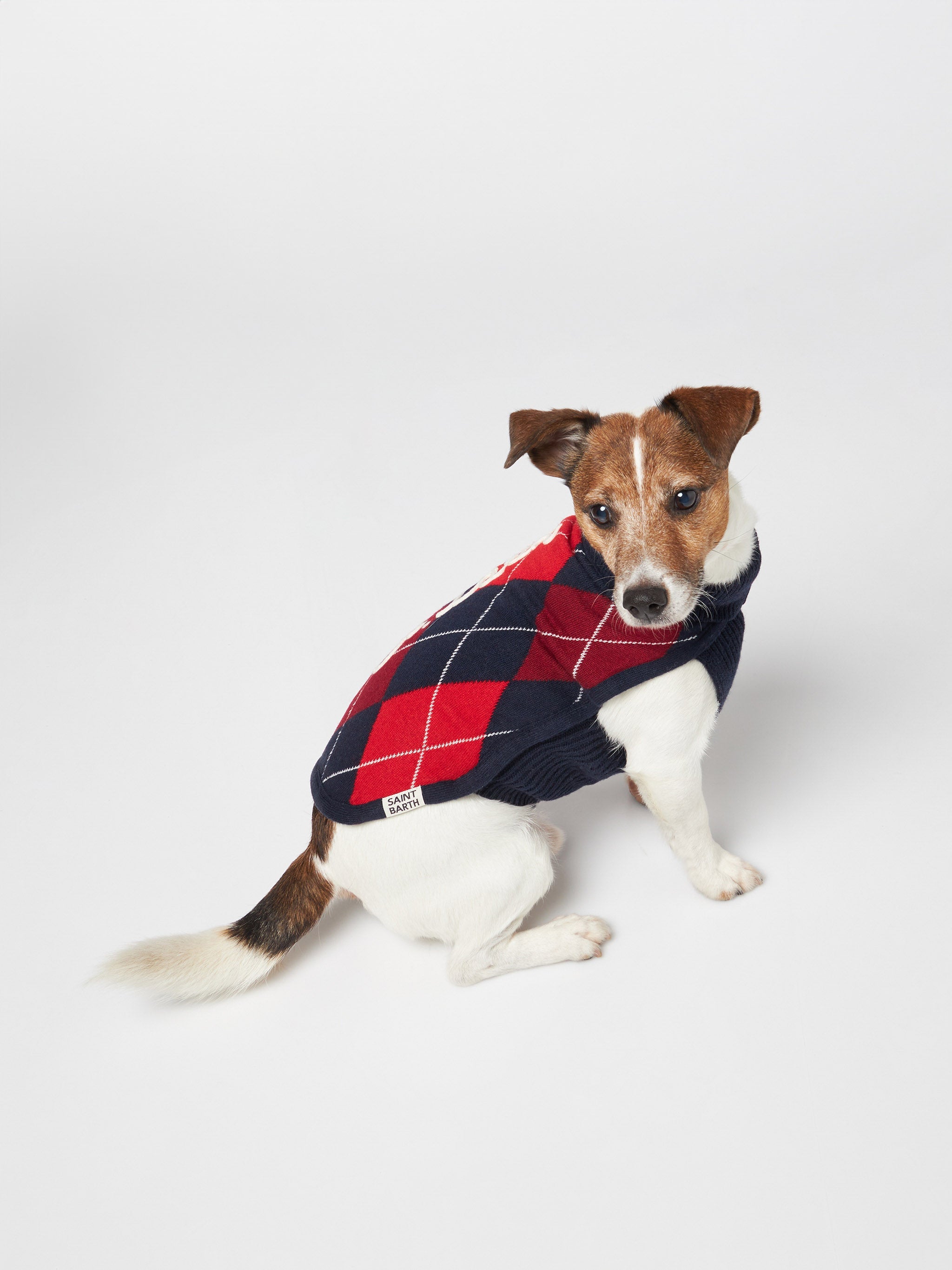 Dog Sweater With Argyle Print Blue