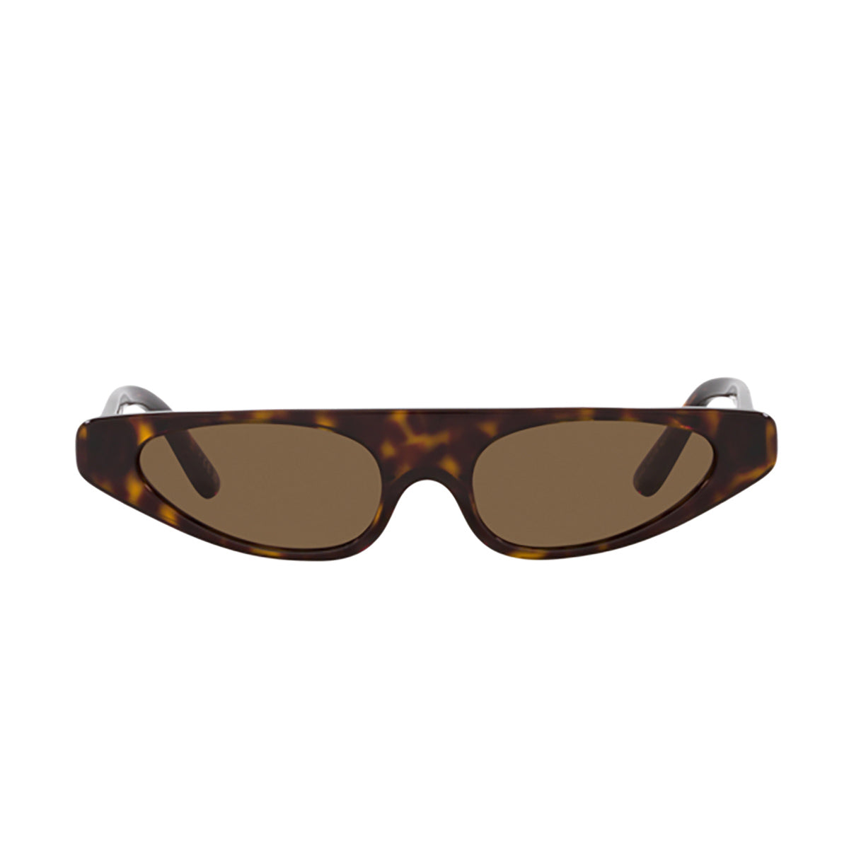 DG4442 502-73 Marrone Acetate Occhiali Sole