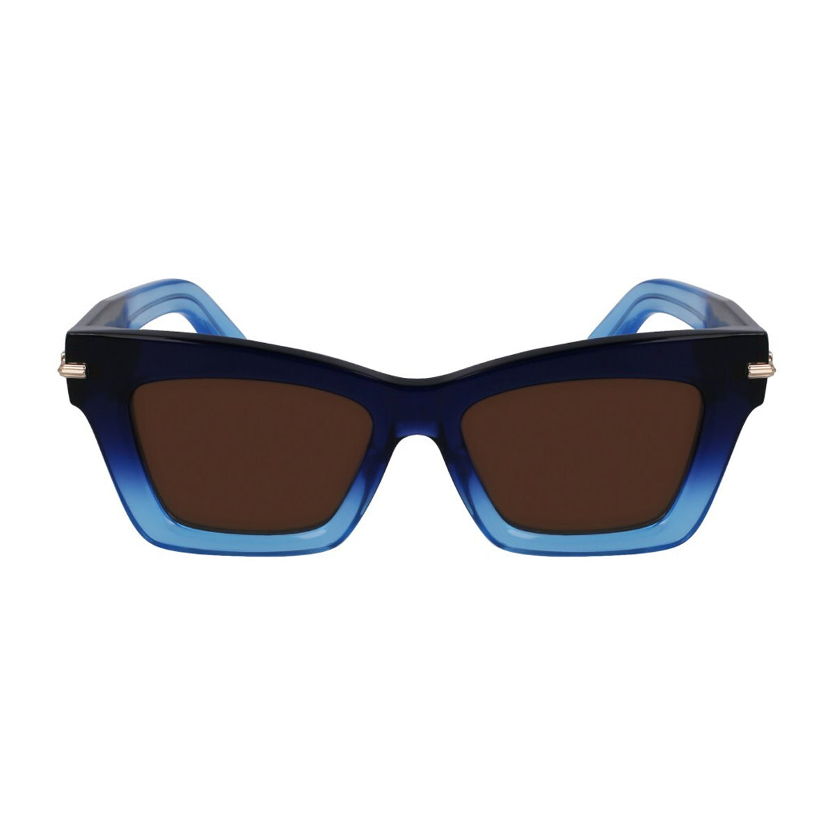 Salvatore Ferragamo SF2031S 415 Gradient Dark Blue Transparent Blu Acetate Occhiali Da Sole