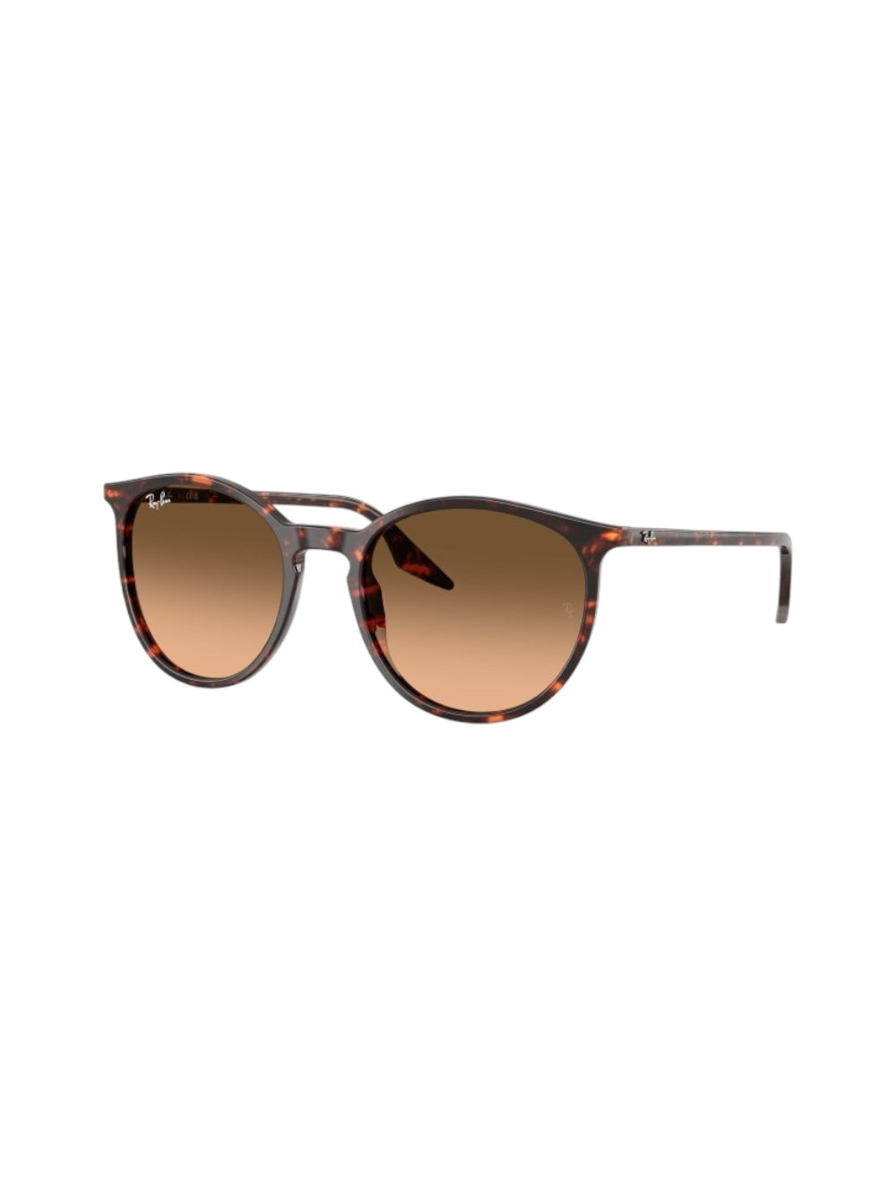 Ray Ban Rb 2204 Tortoise Sunglasses