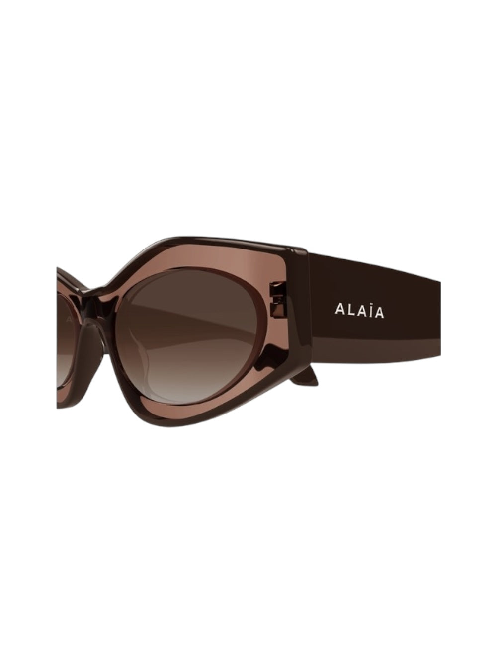 Aa0093 Blue & Bronze Sunglasses