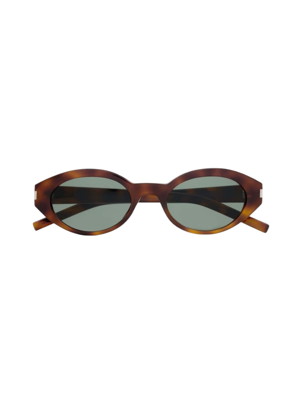 Sl 567 Havana Sunglasses
