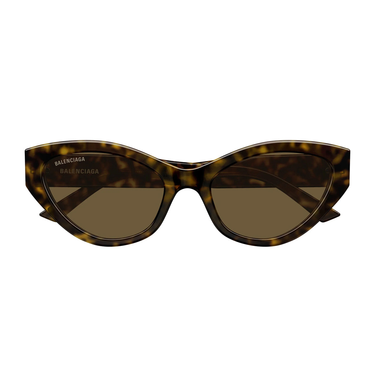BB0306S 002 Marrone Acetate Occhiali Sole