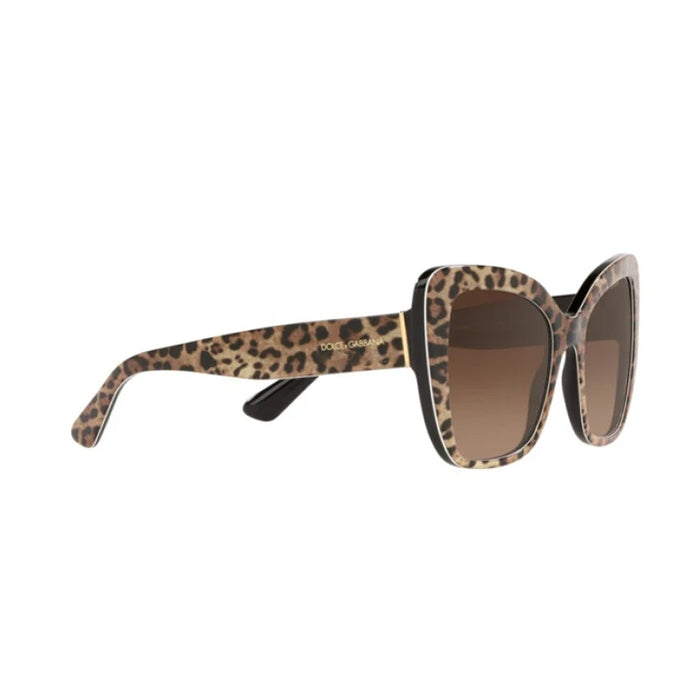 DG4348 316313 Marrone Celluloid Occhiali Sole