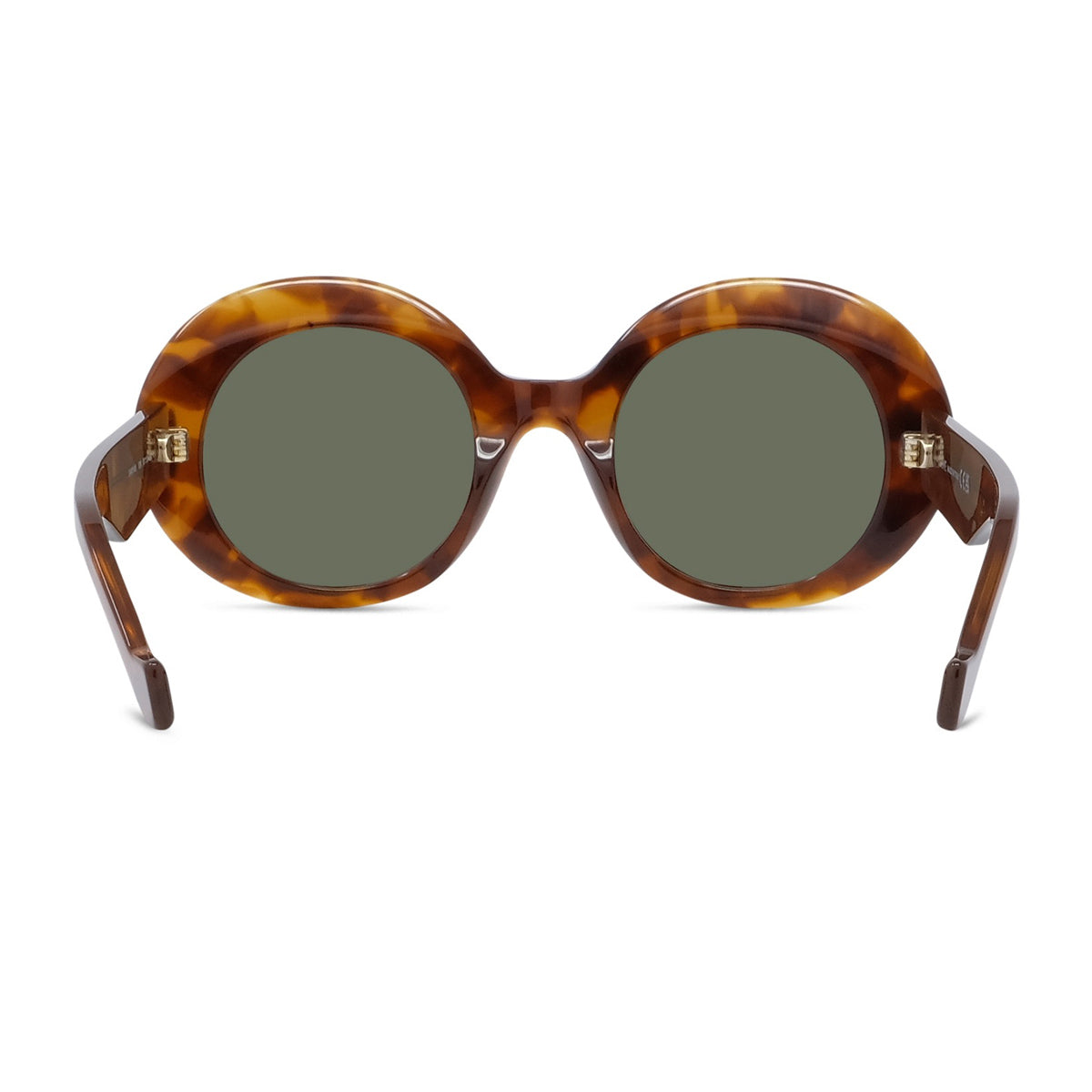 LW40146I 53N Havana Marrone Occhiali Da Sole