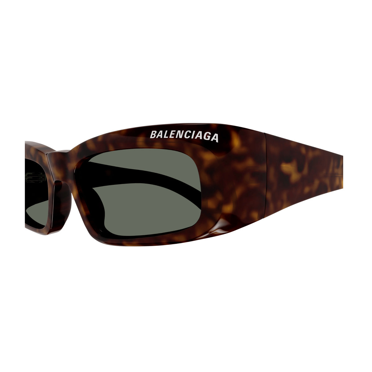 BB0266S Marrone Celluloid Occhiali Sole