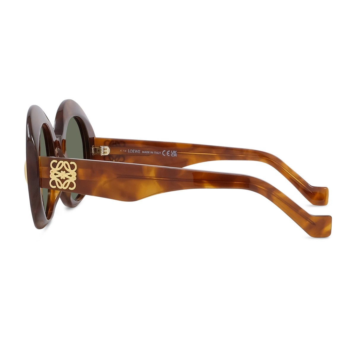 LW40146I 53N Havana Marrone Occhiali Da Sole
