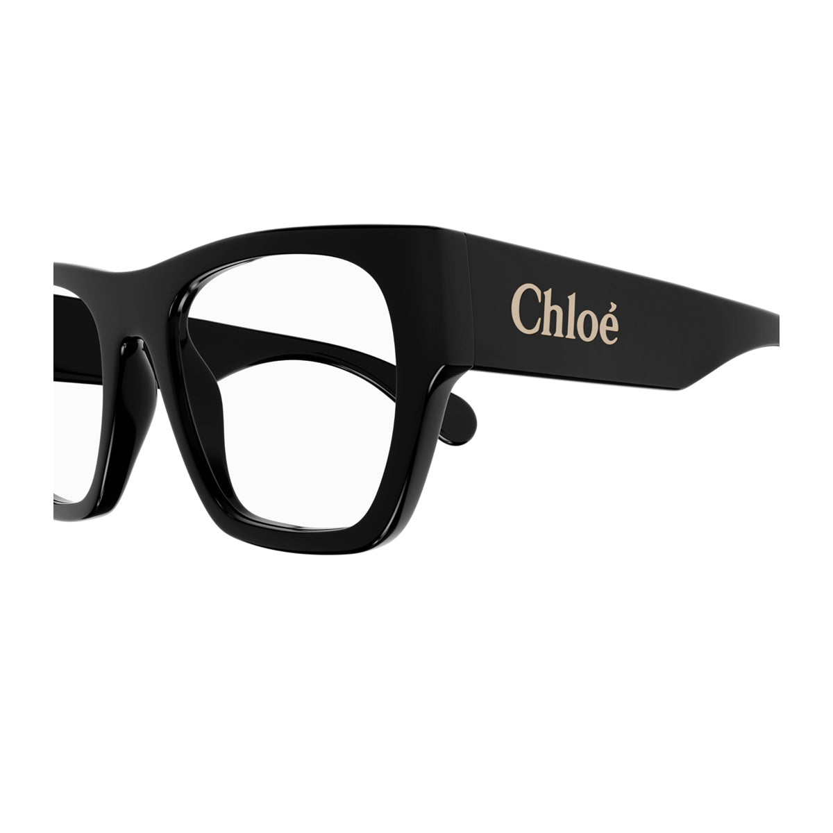 Chloé CH0250O Linea 001 Black Nero Acetate Occhiali Da Vista