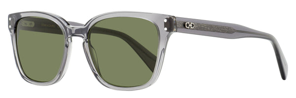 Ferragamo SF1040SCP Acetate sunglasses in gray