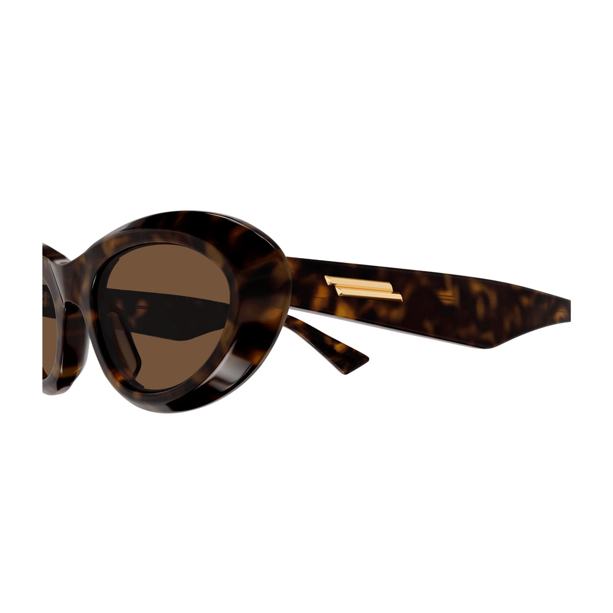 BV1191S Marrone Celluloid Occhiali Sole
