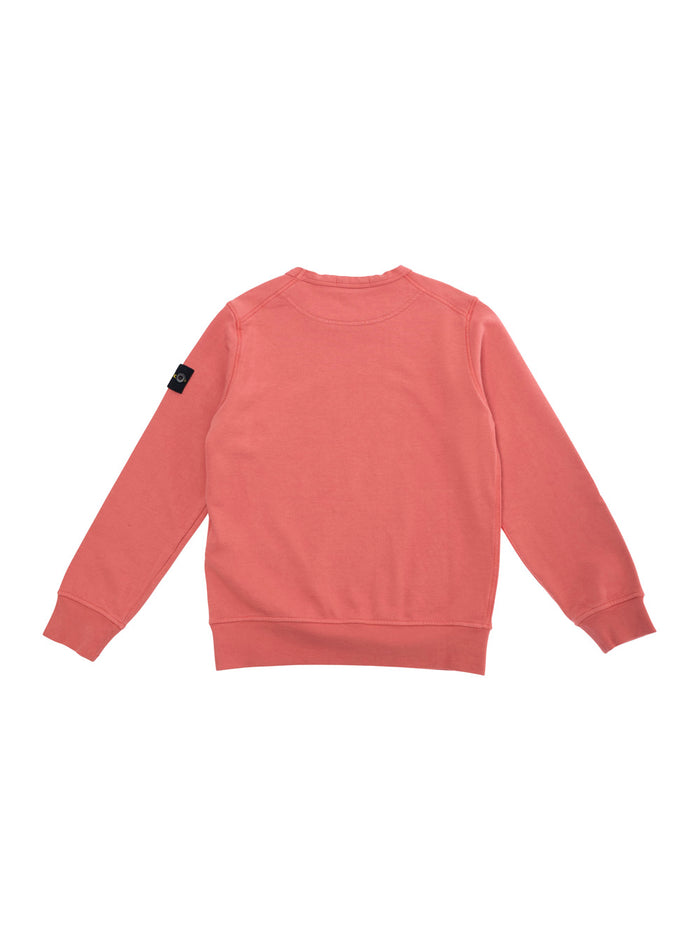 Red Crewneck Sweatshirt With Removable Compass Logo Applied On The Sleeve Cotton Boy Sweatshirts