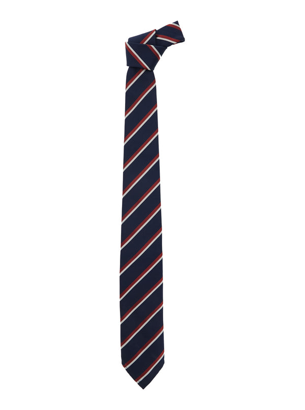 Tie Blue Striped Silk Ties & Bow
