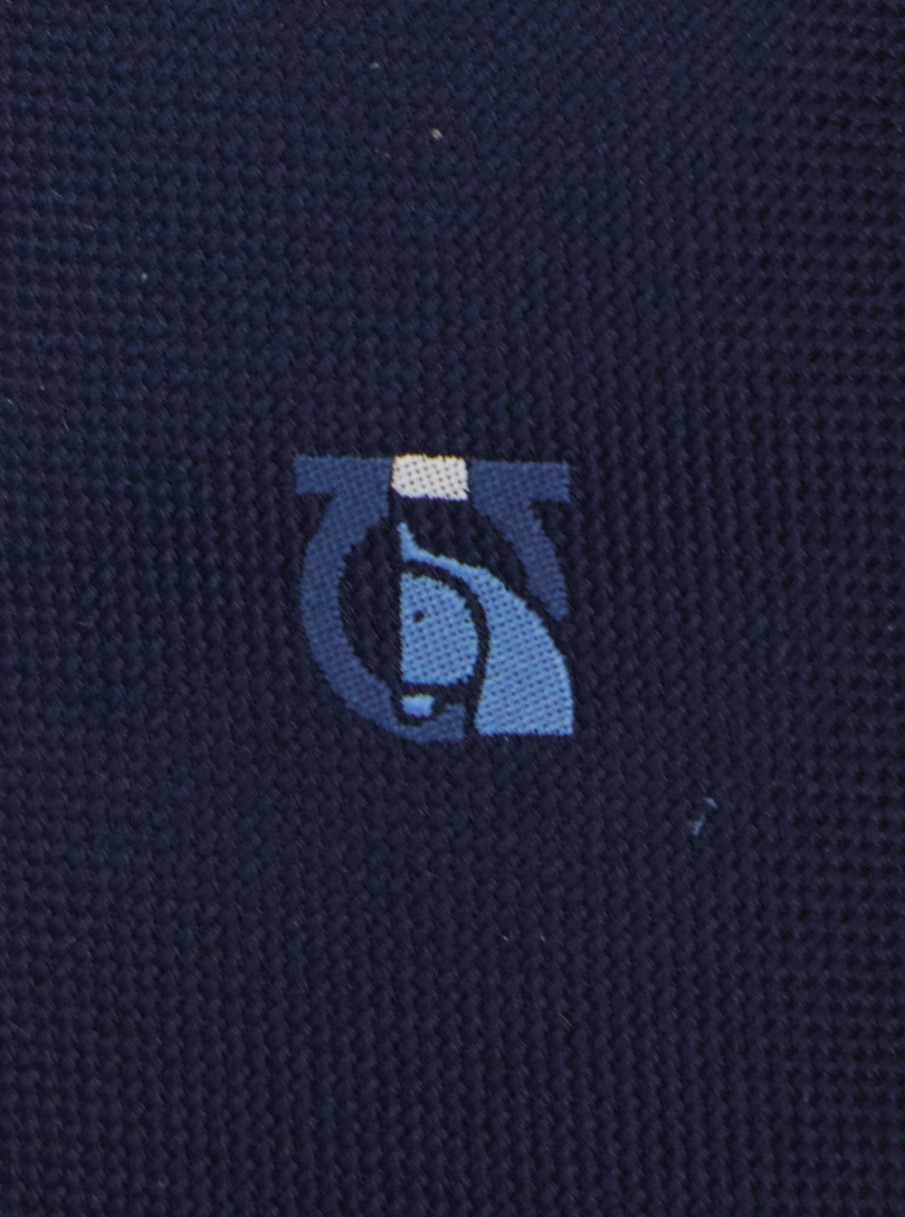 Blue TIe with Logo on the Front in Silk Man Blu Papillon And Ties
