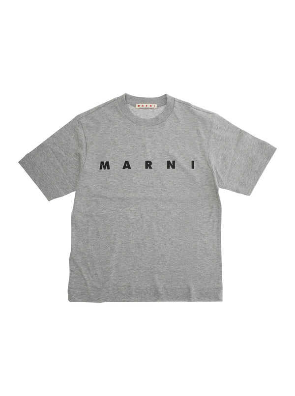Crew-Neck T-Shirt, Grey Cotton T-shirts